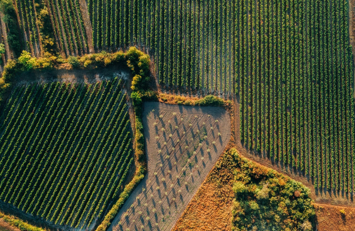 v2-our-story-aerial